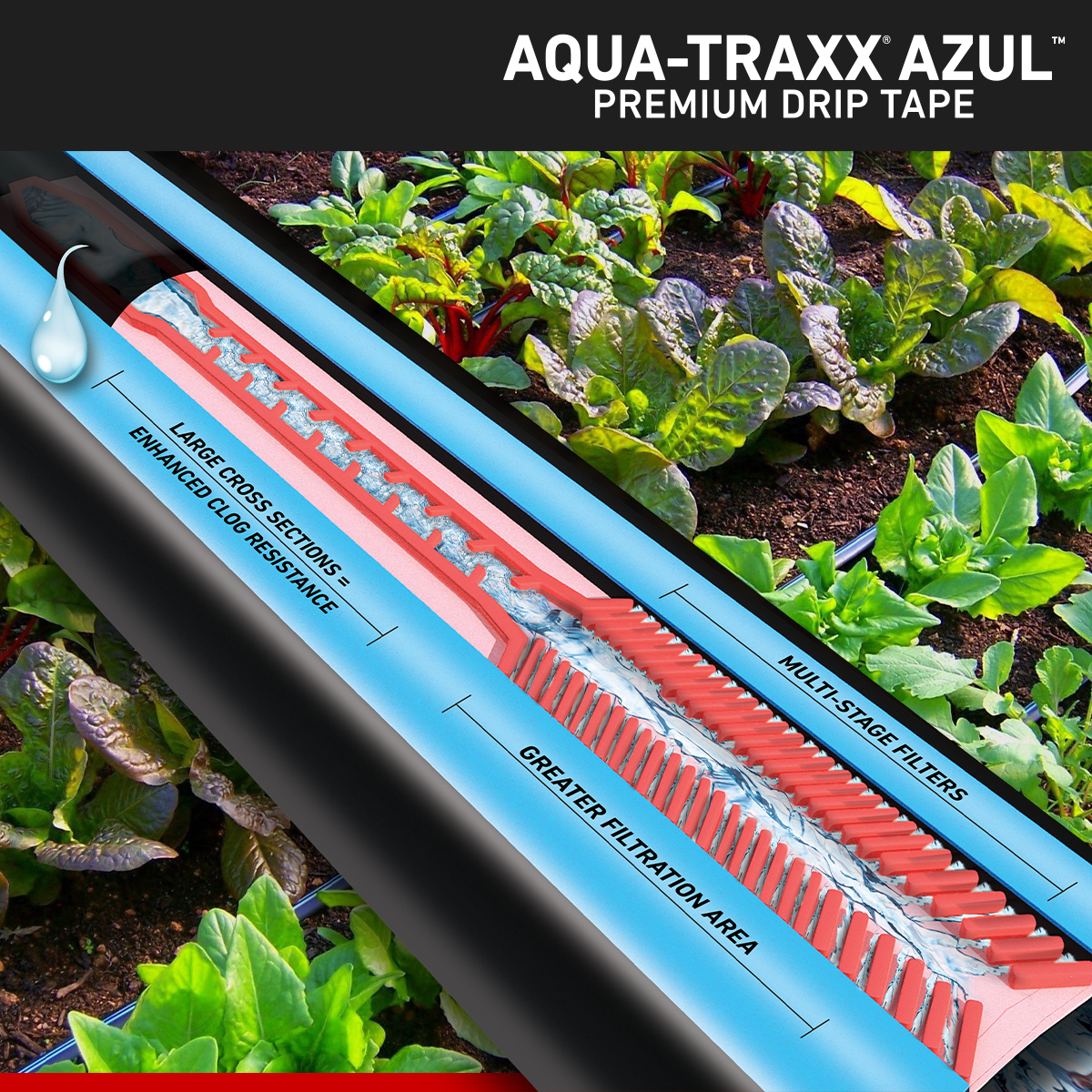 Launching Aqua-Traxx Azul drip tape, innovating precision agriculture