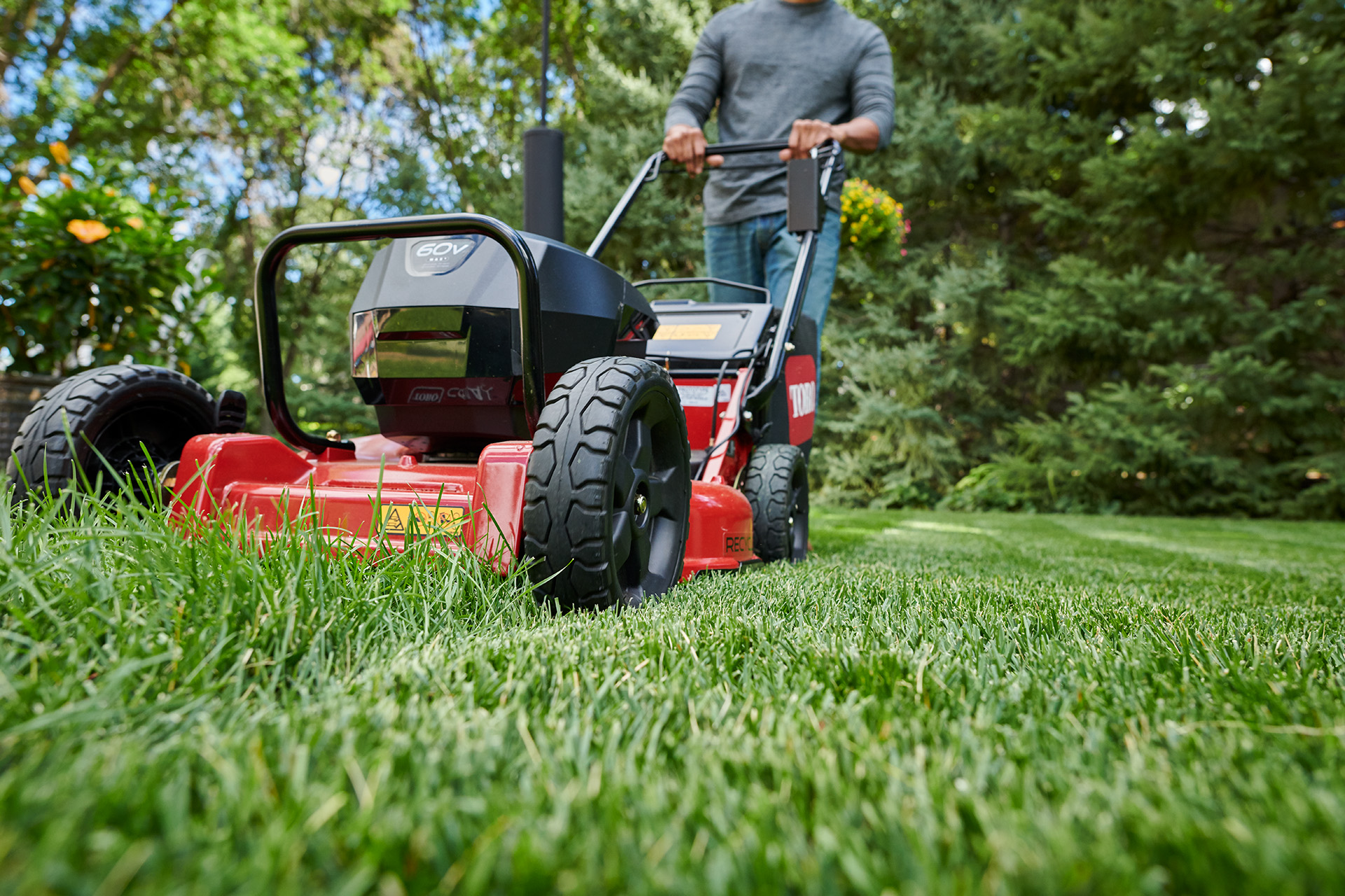 Superior Quality of Cut